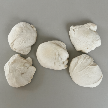 Pizzadeel Xl 5 stuks